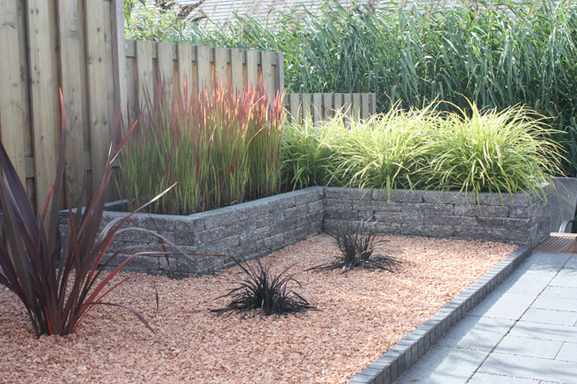 images/tuinen/Buitenhuishovenier_tuin12.jpg#joomlaImage://local-images/tuinen/Buitenhuishovenier_tuin12.jpg?width=650&height=433